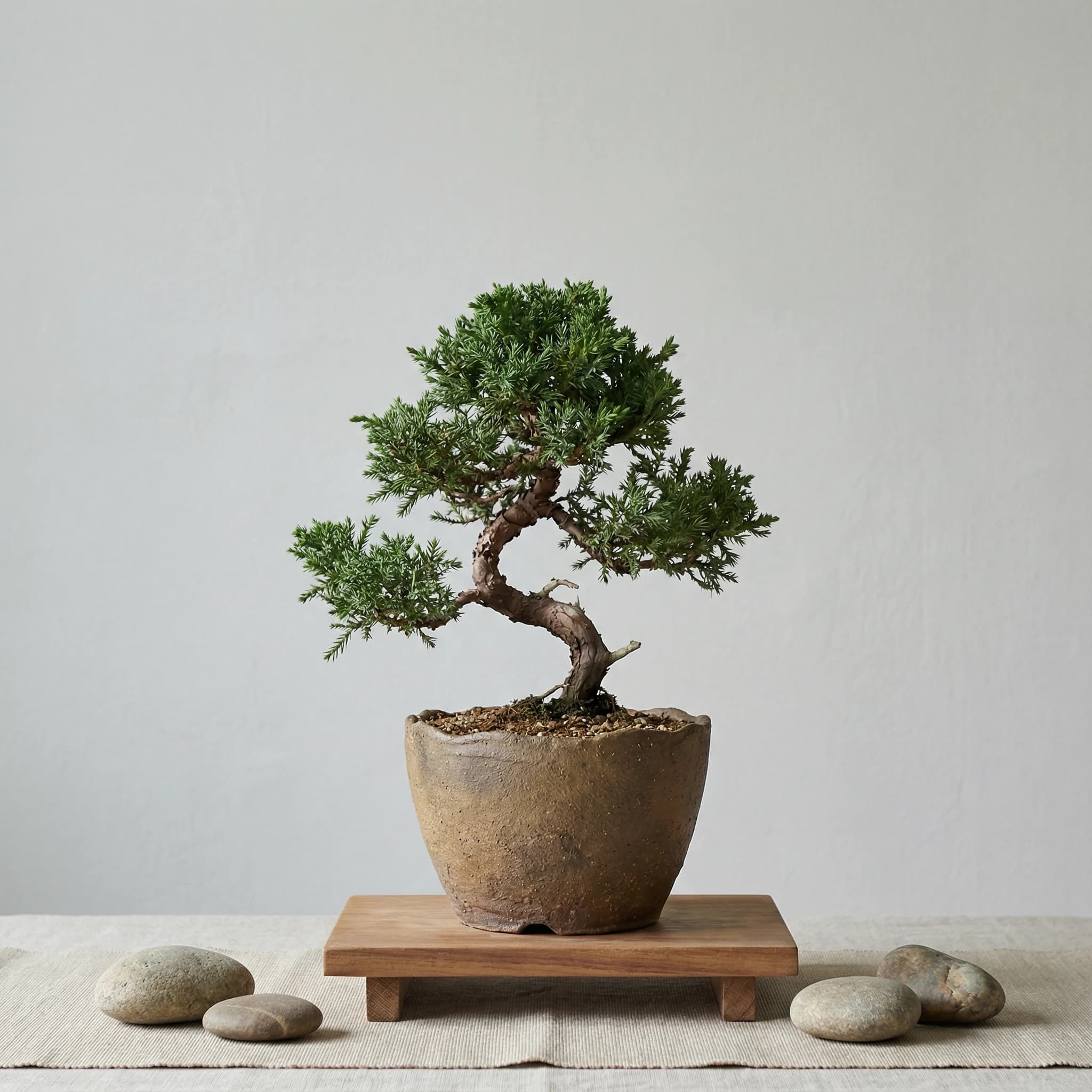 Minimalistyczny Zen - przykład efektu AI